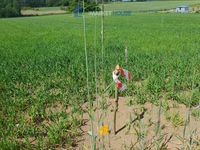 Działka Sprzedaż Zieleniewo 6