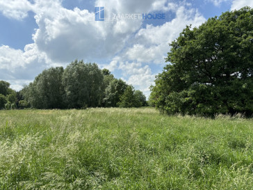 Działka Sprzedaż Będargowo