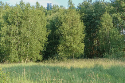 Działka Sprzedaż Grzepnica